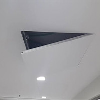פתח שירות נסתר 35 * 100 דגם פרימיום  OPENART